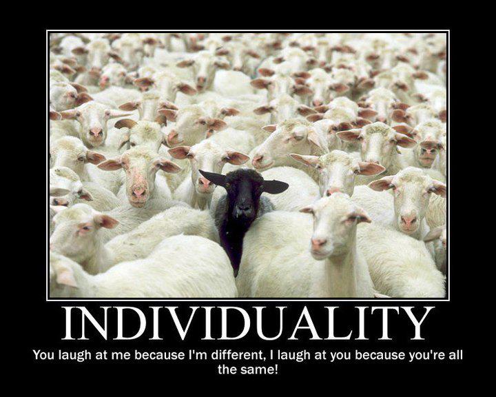 sheeple